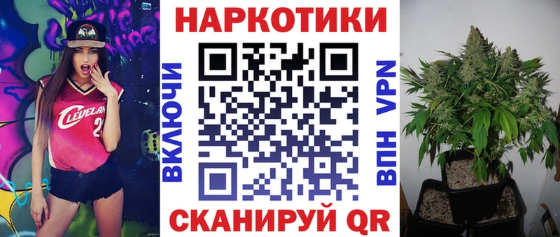 Где найти наркотики Дальнереченск блэк спрут зеркало КОКАИН Псилоцибиновые грибы ГАШИШ Конопля