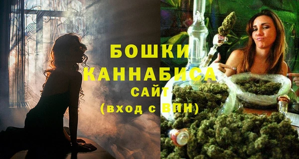 гашик Волосово